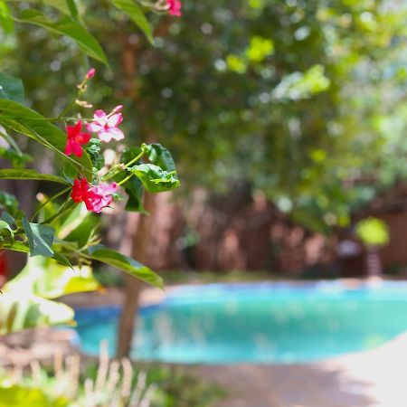 מפלי ויקטוריה Mawuya Lodge מראה חיצוני תמונה