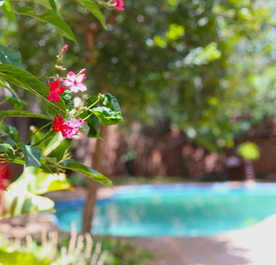מפלי ויקטוריה Mawuya Lodge מראה חיצוני תמונה